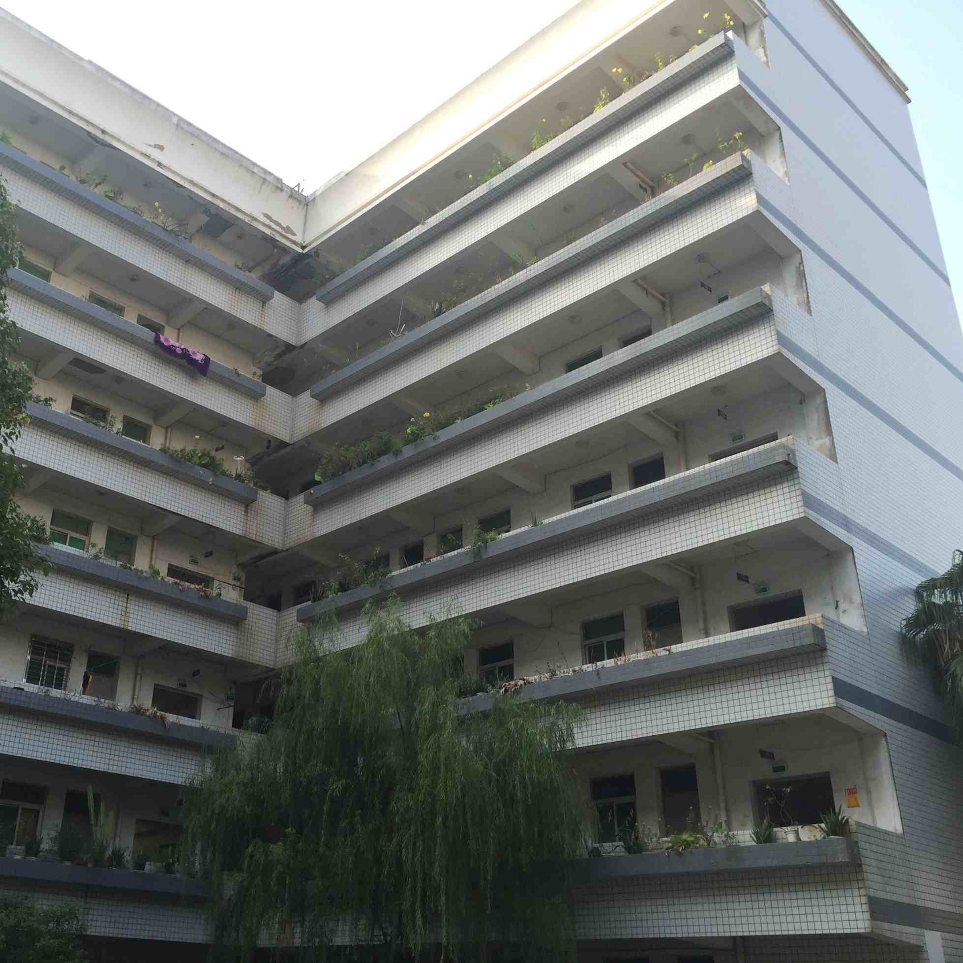 synberry's staff dormitory synberry's staff dormitory