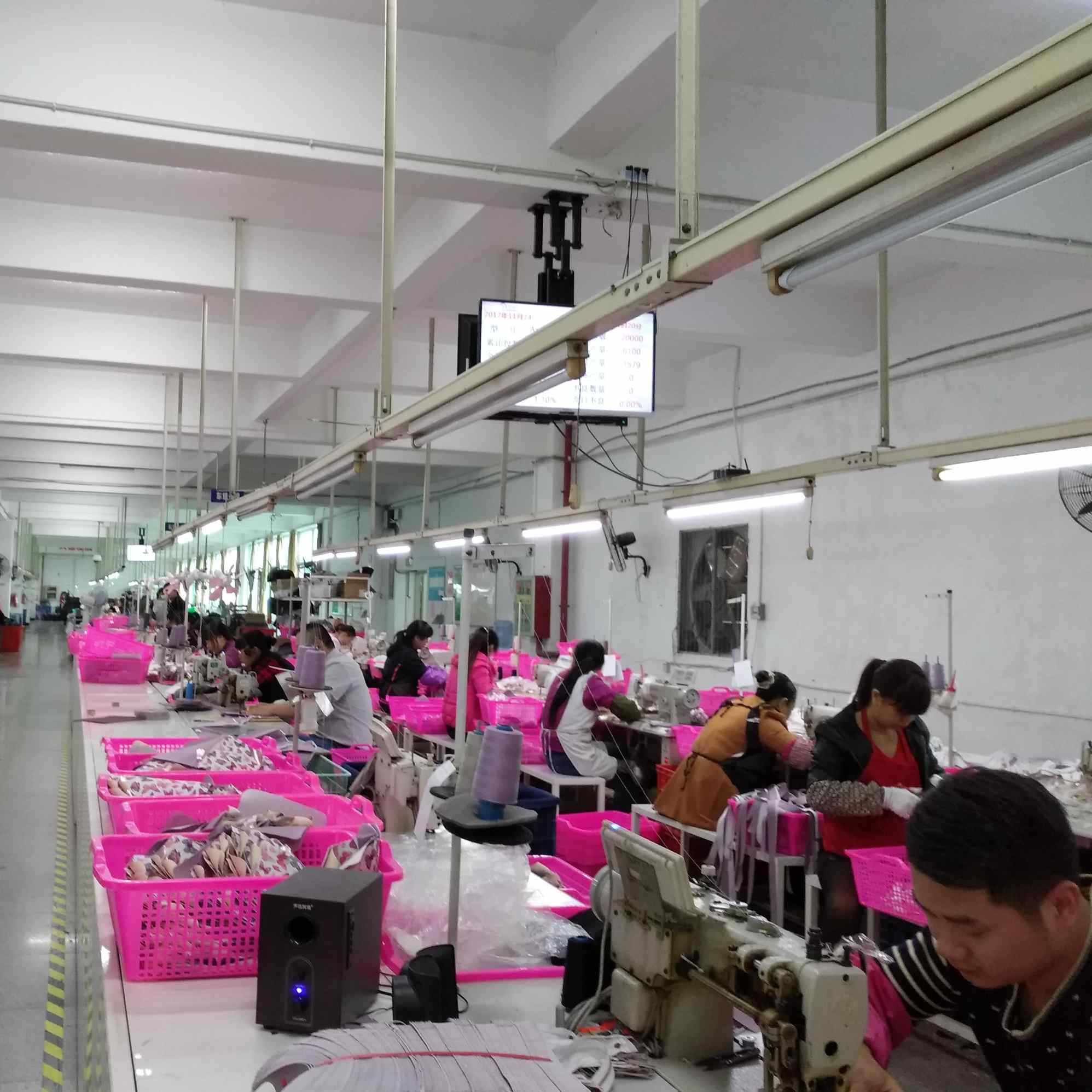 synberry production line synberry production line