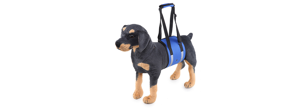 Walking Assistance dog Harness