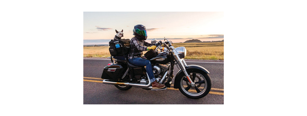 Motorcycling Dog Backpack Motorcycling Dog Backpack