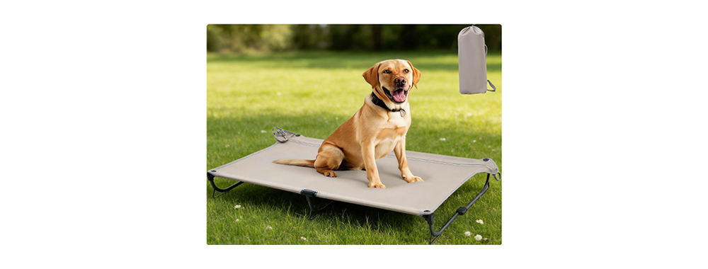 Foldable Elevated Bed