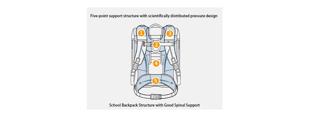 spine-protecting school backpacks
