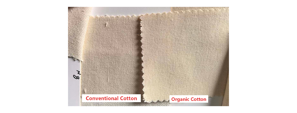 Comparison between 8oz regular cotton canvas and organic cotton canvas